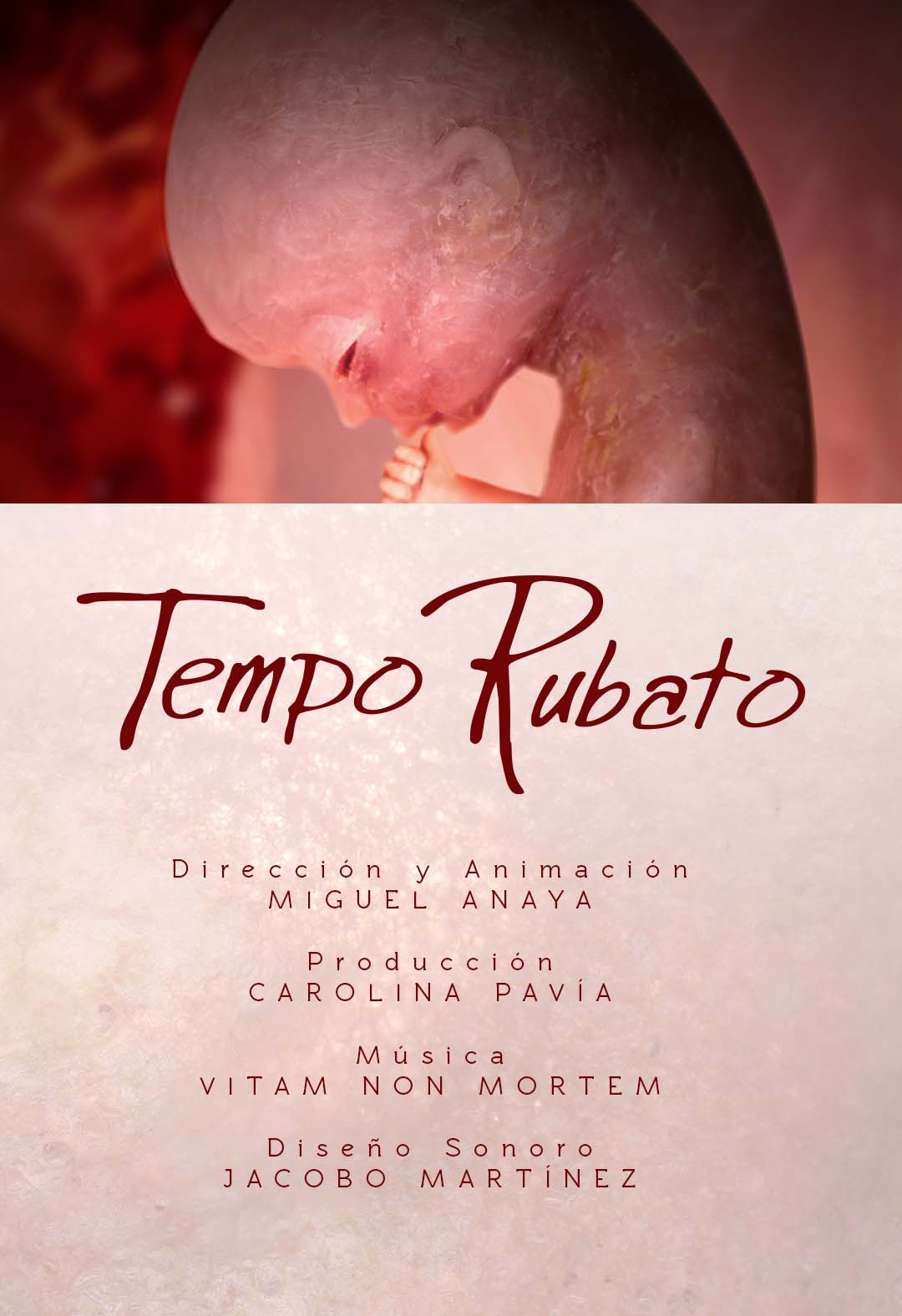 Póster de Tempo Rubato